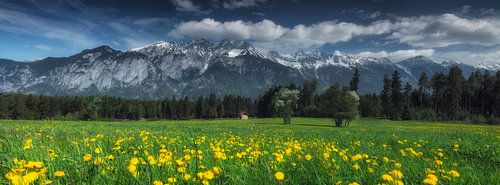 Oostenrijks berg panorama