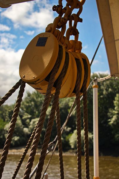 Tailje par Christian Harms