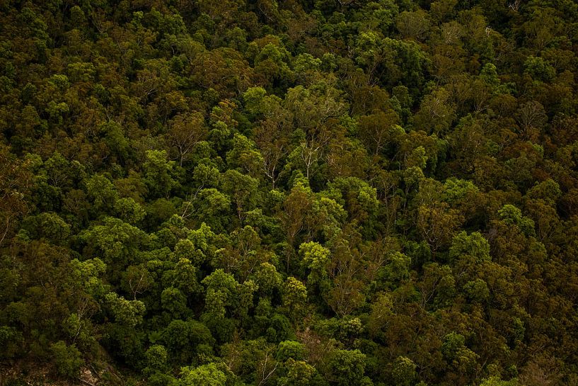 Blue Mountains by ellen