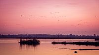 het meertje De Merken, midden in het Wormer en Jisperveld bij zonsondergang