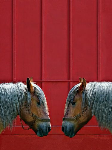 2CV twee paardenkracht