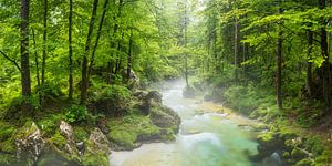 Vallée de la Bluntautal sur Rainer Mirau