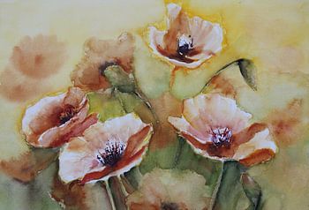 ? Stiller Mohn Schönheit