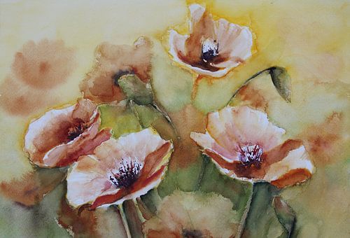 ? Verstilde Papaverpracht