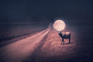 Majestätischer Hirsch mit rotem Mond im Geweih - Mystische Fotomanipulation Kunstwerk