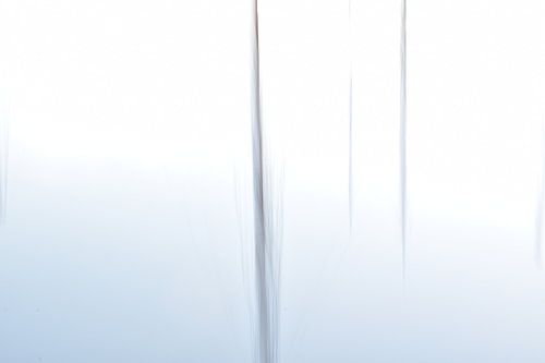 Rien n'est ce qu'il semble être