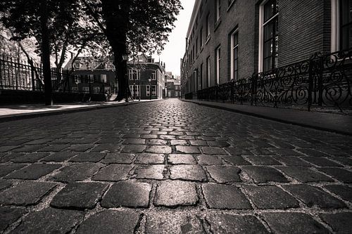 Bossche straat met kasseien