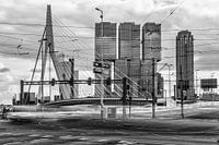 Rotterdam