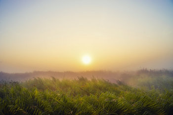 Dreamy Morning
