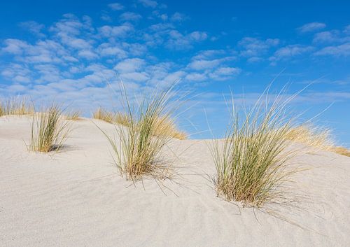 Drie op een rij, helmen in het zand