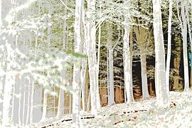 The energy of nature