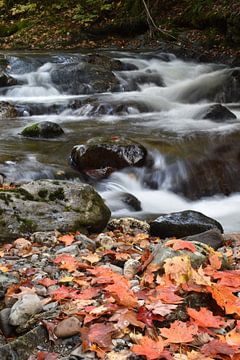The river in autumn by Claude Laprise
