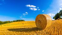 Summer landscape by Günter Albers thumbnail