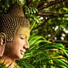 Boeddha in Cambodja van Giovanni della Primavera