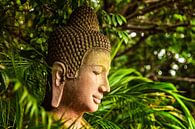 Boeddha in Cambodja van Giovanni della Primavera thumbnail