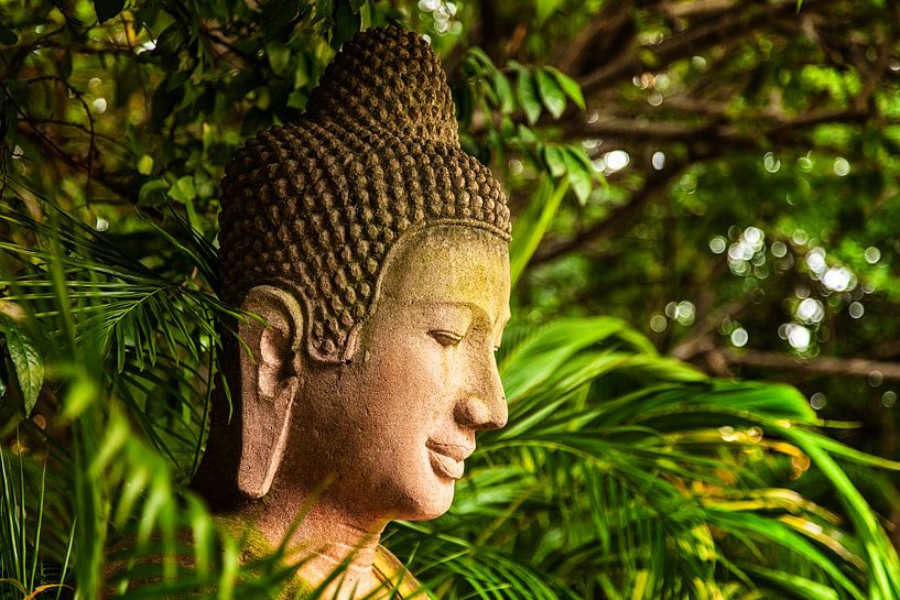 Boeddha in Cambodja van Giovanni della Primavera