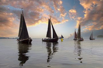 Les embouteilleurs sur l'eau