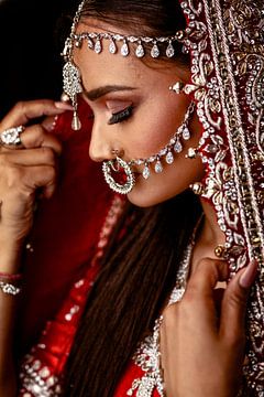 Indische Schönheit von Bram van Dal