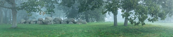 Panorama-Dolmen Kampsheide