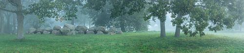 Panorama dolmen Kampsheide