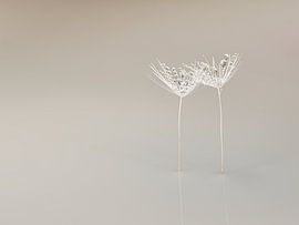 Natuurlijke elegantie: Samen in de leegte van Marjolijn van den Berg