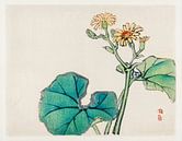 Leopard plant door Kōno Bairei (1844-1895). van Studio POPPY thumbnail