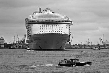Harmony of the Seas in company of water taxis by Anton de Zeeuw