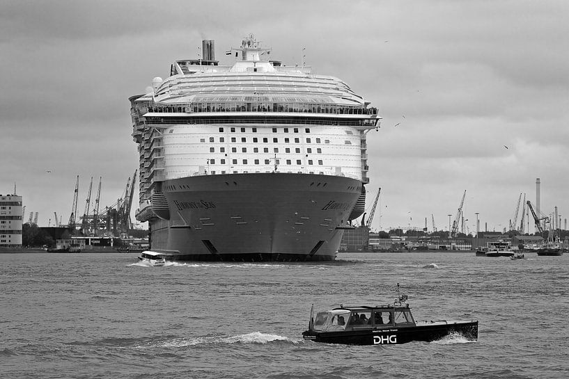 Harmony of the Seas, begleitet von Wassertaxis  von Anton de Zeeuw