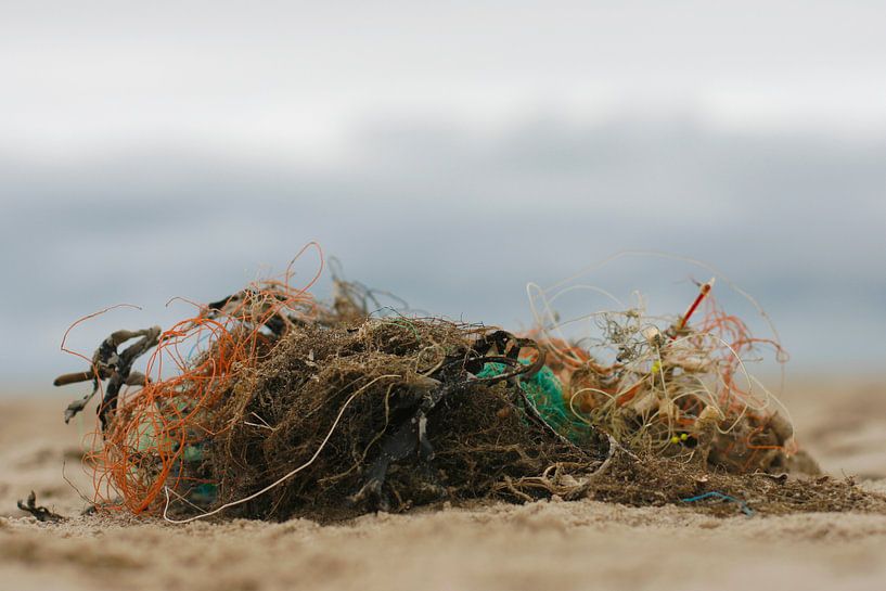 Struinen langs de kust by Fotografia PB