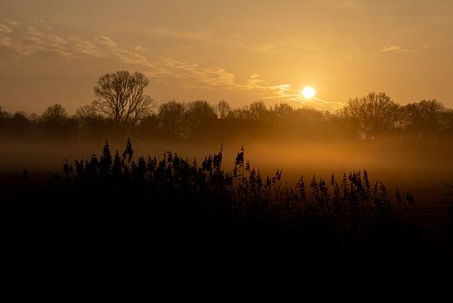 Gouden zonsopkomst