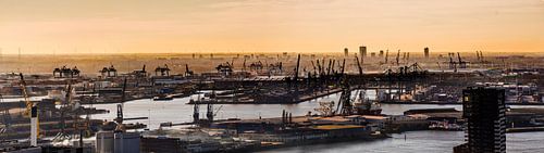 Panorama Rotterdam Harbour