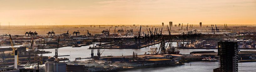 Panorama Rotterdamer Hafen von Fred Leeflang