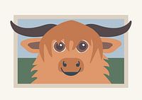 Happy Scottish Highlander in pasture