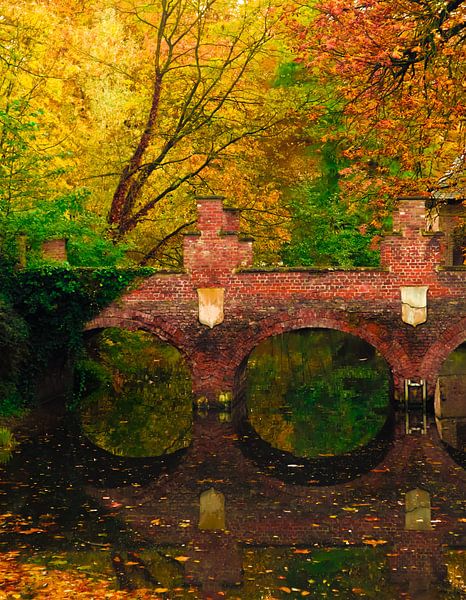 Brücke von adriaan de waele