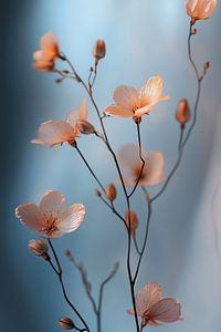 Fleurs douces en rose