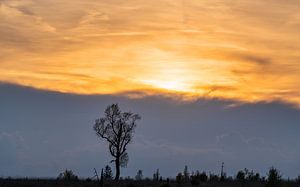 Hohes Venn, Belgien