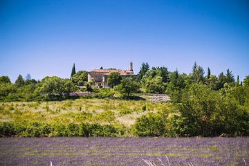 Lavendel met dorpje in de Provence van Suzan van Pelt