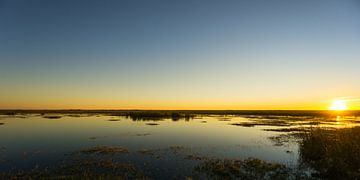 Verenigde Staten, Florida, Mooi warm zonlicht op everglades landschap van adventure-photos