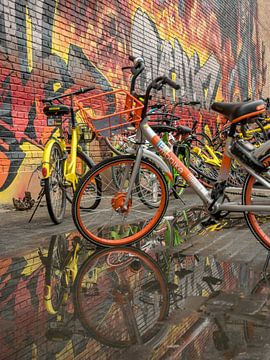 Kleurrijke fietscompositie van Arina Keijzer