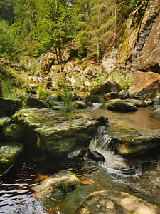 In der Steinklamm bei Spiegelau in Bayern 5