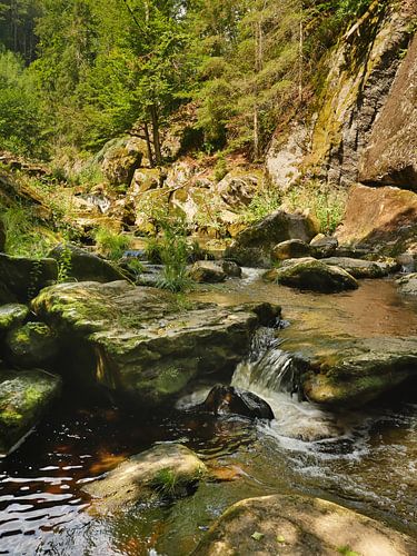 In de Steinklamm kloof bij Spiegelau in Beieren 5