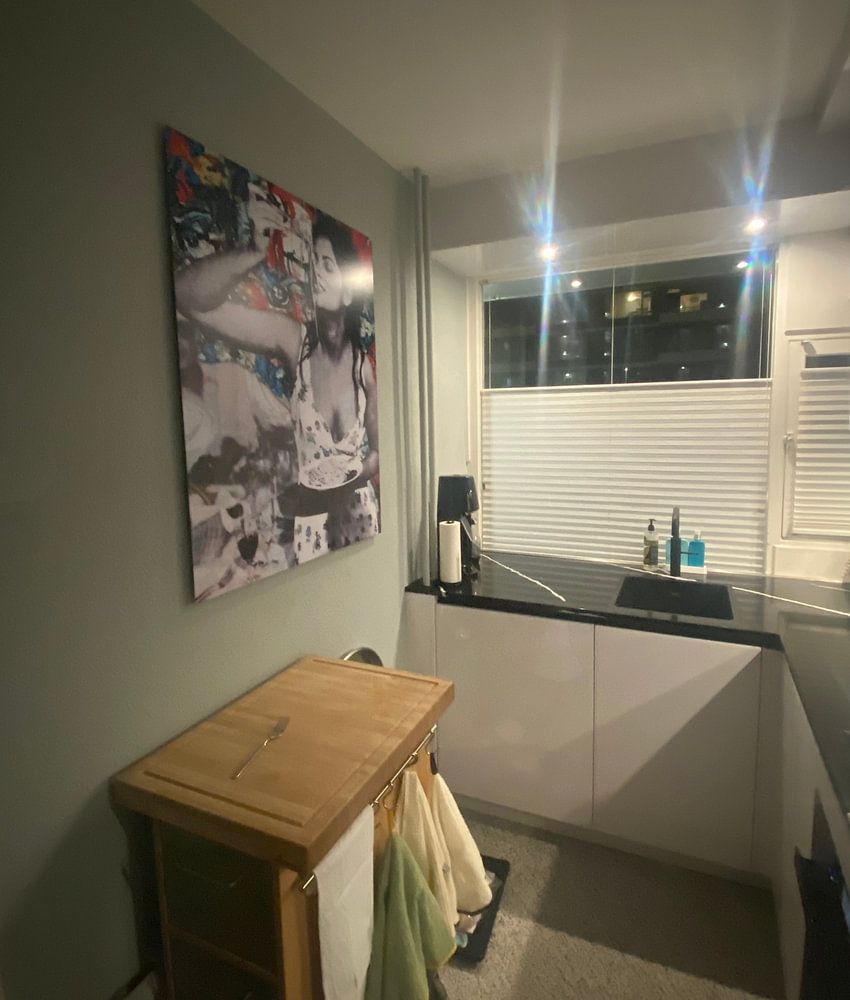 Sophia Loren Portrait  by Giovani Zanolino 