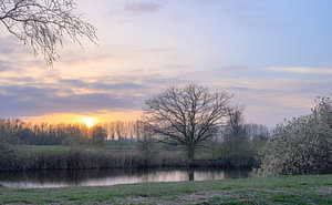 Frühling in Opheusden