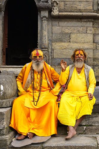 Sadhus van Nepal: Een portret van spirituele toewijding