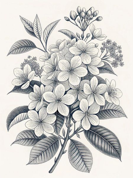 Prachtige handgetekende botanische illustratie van Artistic