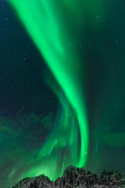 Noorderlicht of Aurora Borealis in de sterrennacht over de besneeuwde bergtoppen van de Lofoten van Sjoerd van der Wal Fotografie