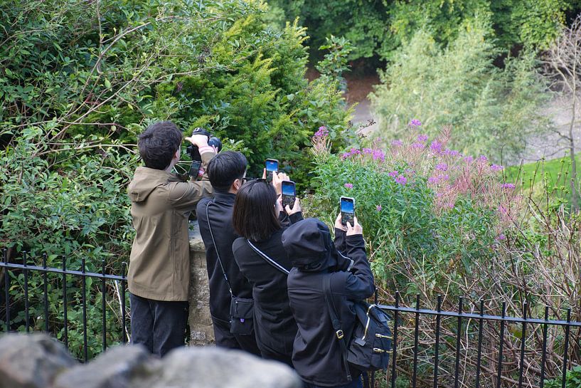 Tous font la même photo par Frank's Awesome Travels
