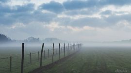 Zeilen von WILBERT HEIJKOOP photography