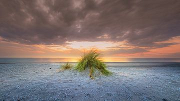 Monster - Nordseestrand - Sonnenuntergang von Frank Smit Fotografie