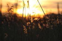 Zonsondergang